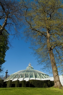  Palais Royal, les serres de Laeken.
